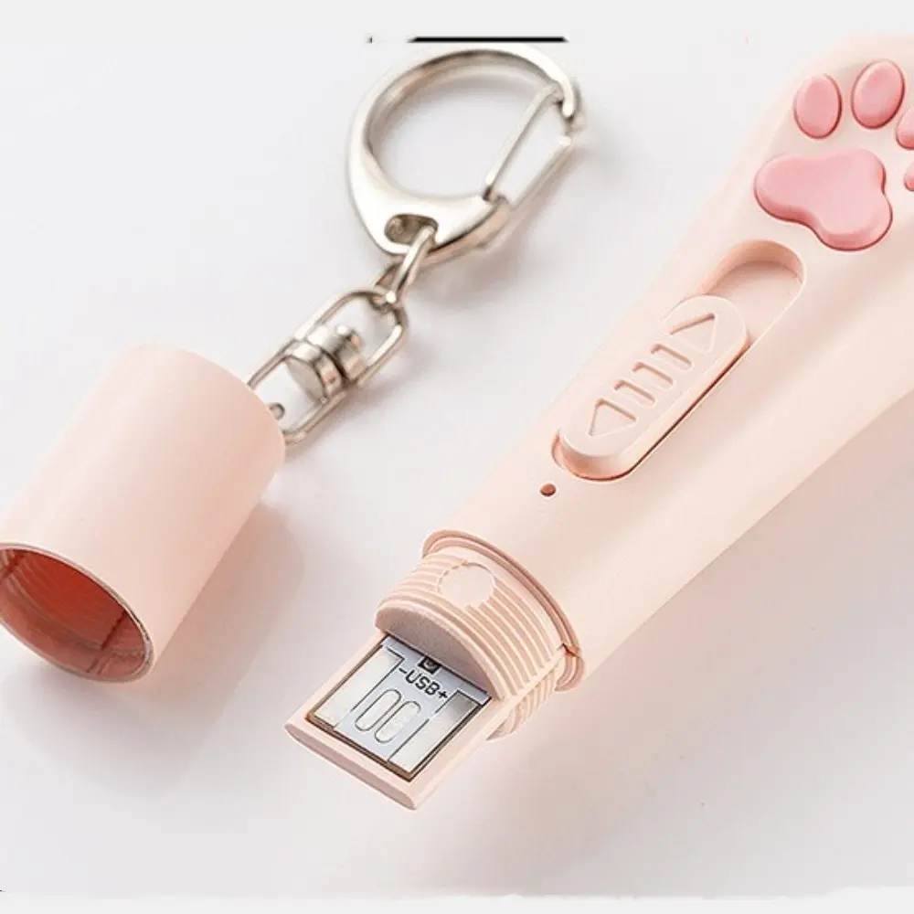 New Multi-function Pet Projector Pen with Keychain USB-Rechargeable Laser Cat Teaser Interactive Training Toy Pet Supplies