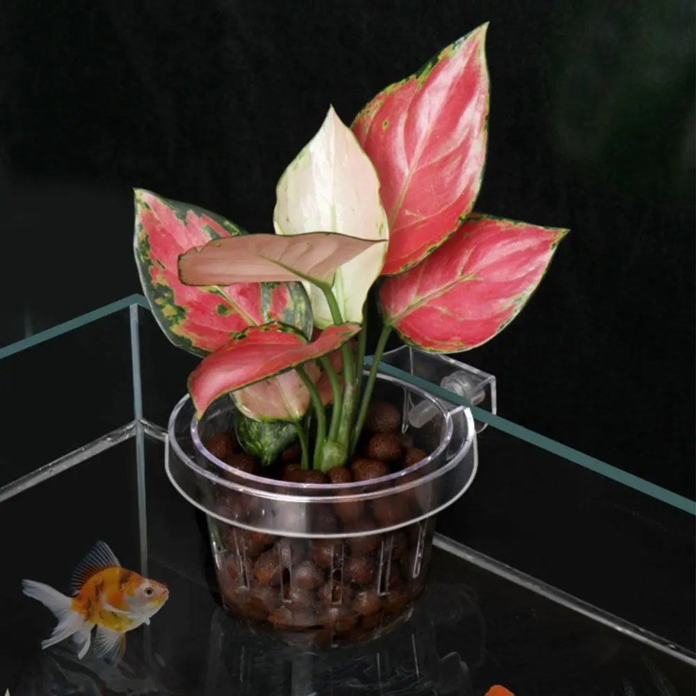 Transparent Fish Tank Hydroponic Planting Basket Water Plant Stand Planted Tank Hanging Aquarium Plant Holder Glass Pot
