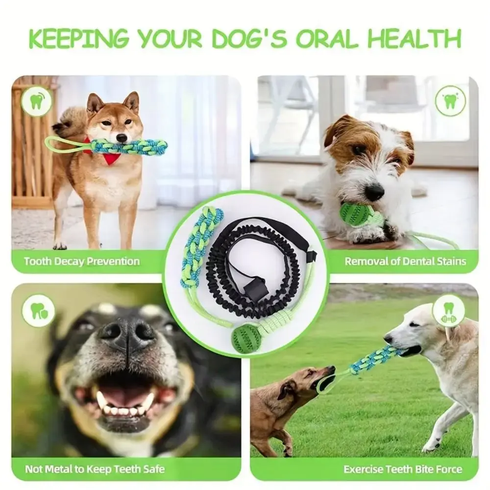 Interactive Dog Ball Toy with Rope Puppy Training Solo Play Spring Pole Dog Rope Toys Tether Tug of War