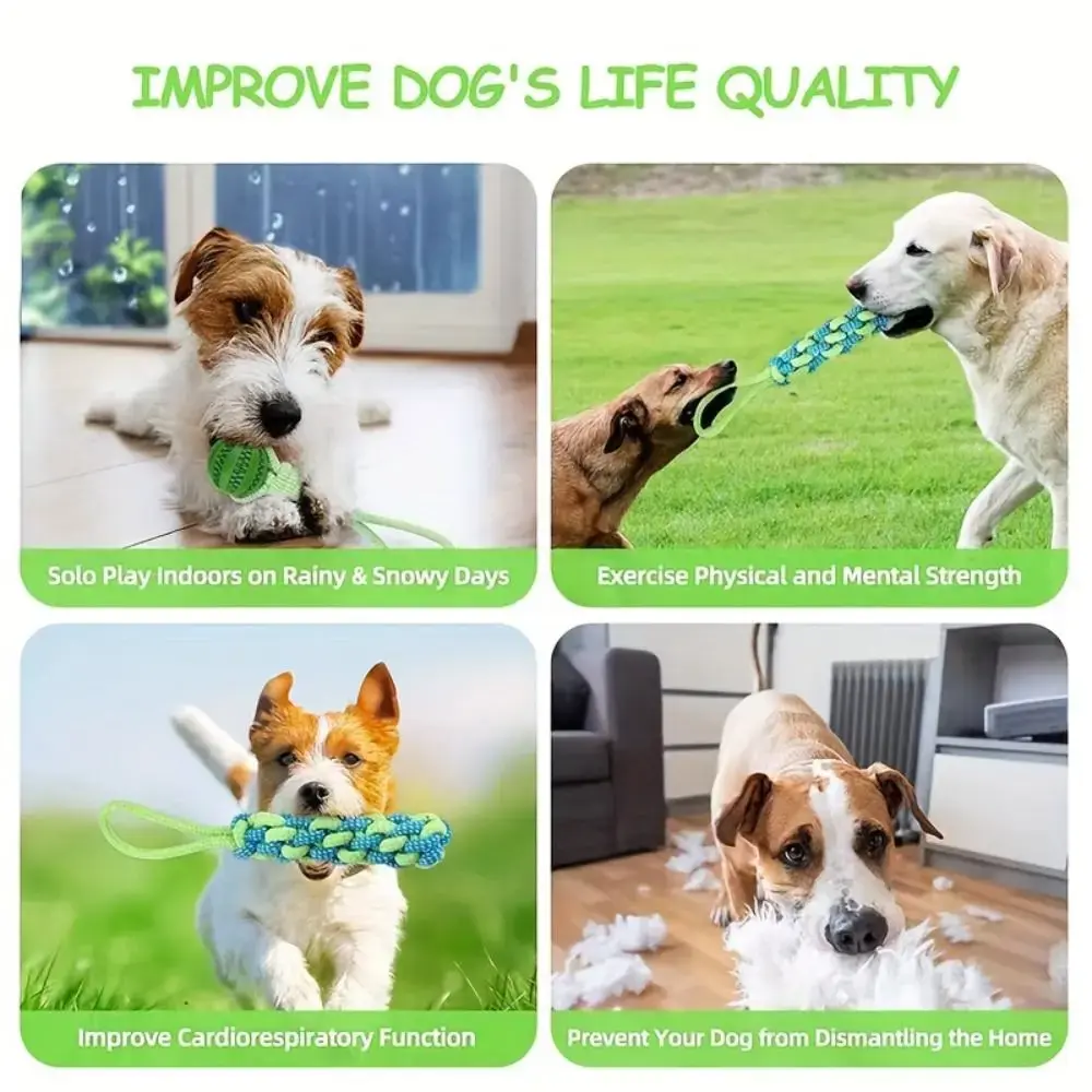 Interactive Dog Ball Toy with Rope Puppy Training Solo Play Spring Pole Dog Rope Toys Tether Tug of War