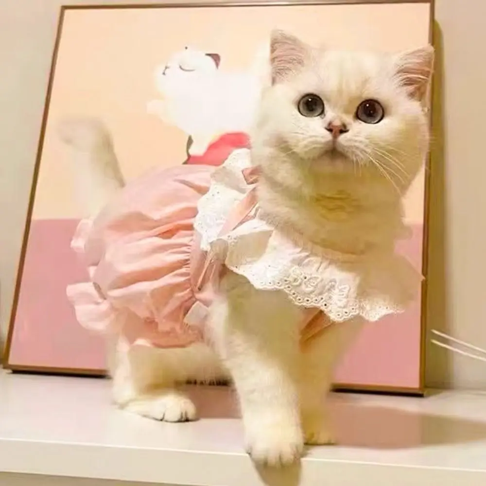 Summer Solid Color Cat Princess Dress Thin Breathable Pet Clothes Soft Elastic Cat Dog Costume