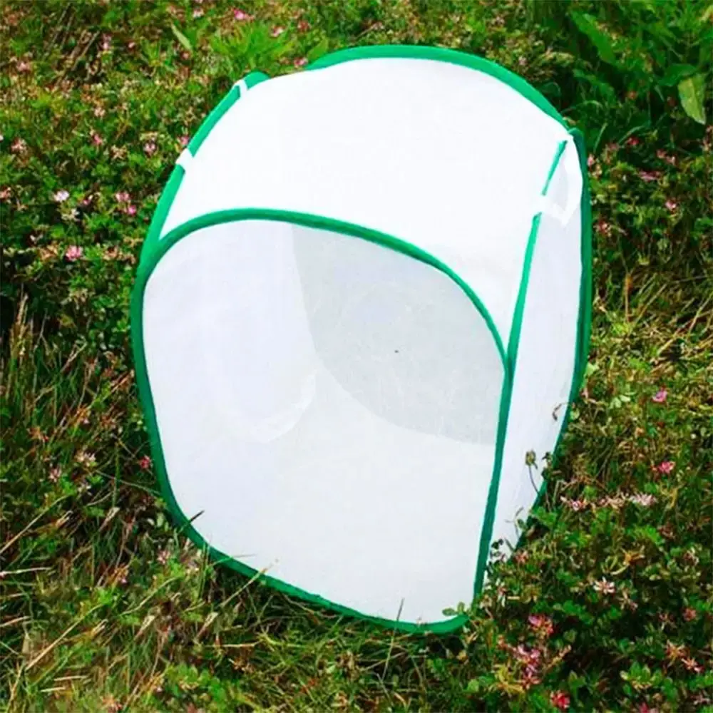 Green Collapsible Insect Cage Transparent Mesh Feeding Box Reptile Pets Cage Zipper Opening Insect Habitat
