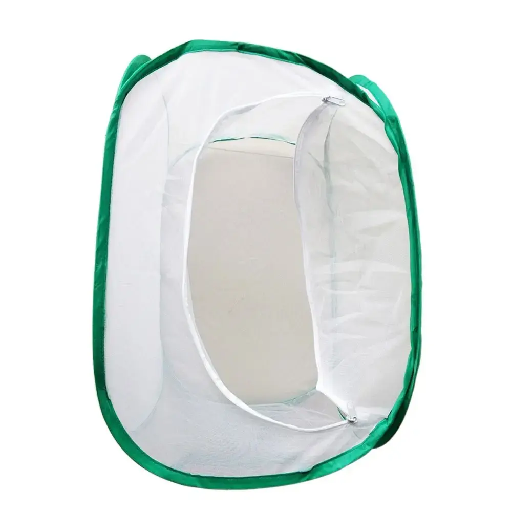 Green Collapsible Insect Cage Transparent Mesh Feeding Box Reptile Pets Cage Zipper Opening Insect Habitat