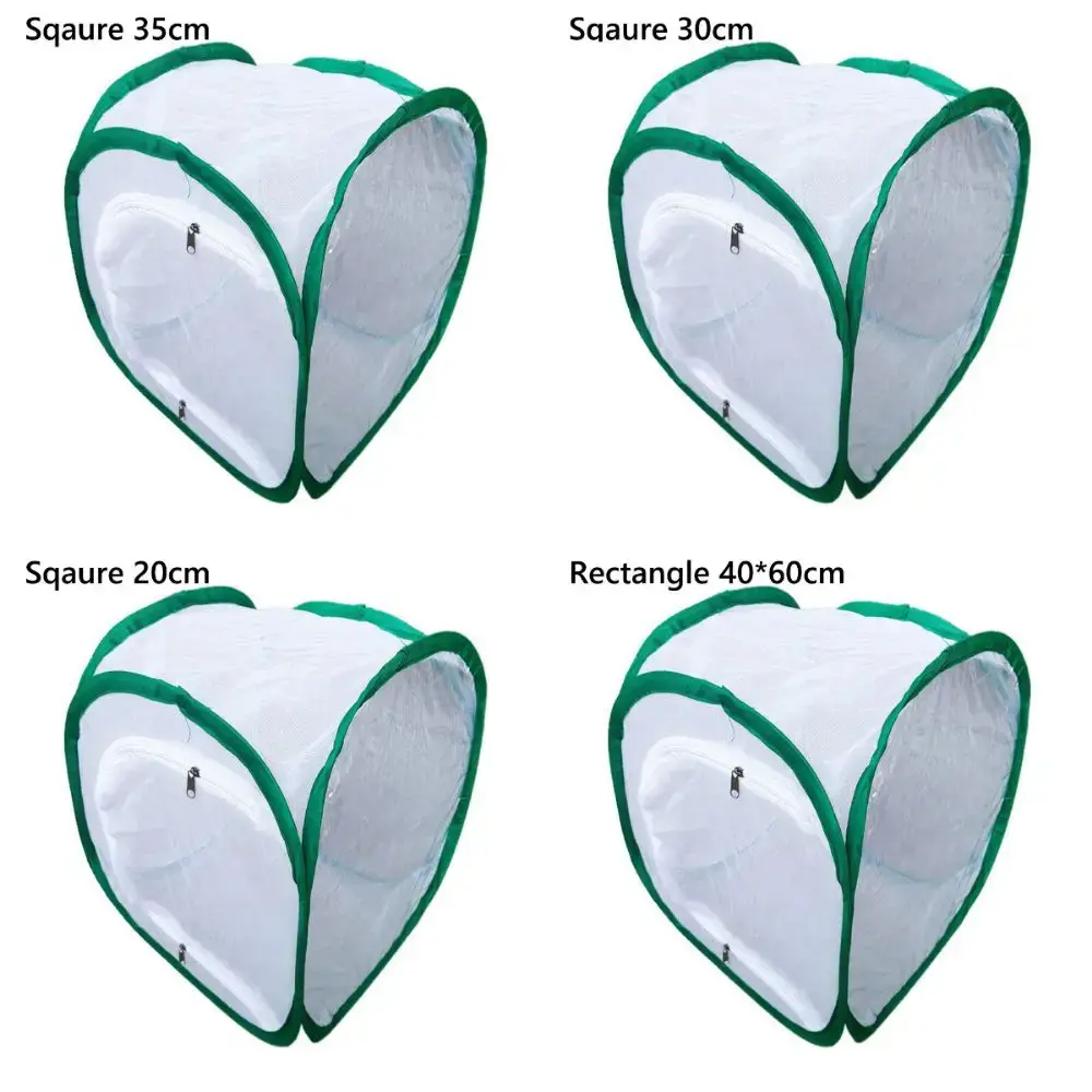 Green Collapsible Insect Cage Transparent Mesh Feeding Box Reptile Pets Cage Zipper Opening Insect Habitat