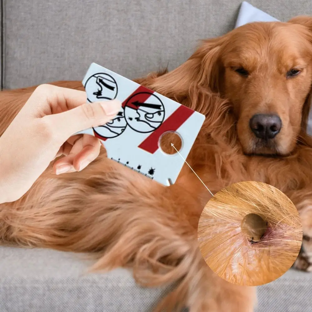 Practical Effective Tick Remover Card Pocket Size Plastic Lice Catcher Tool Magnifying Glass Durable Dog Cat Clean Tool Pets