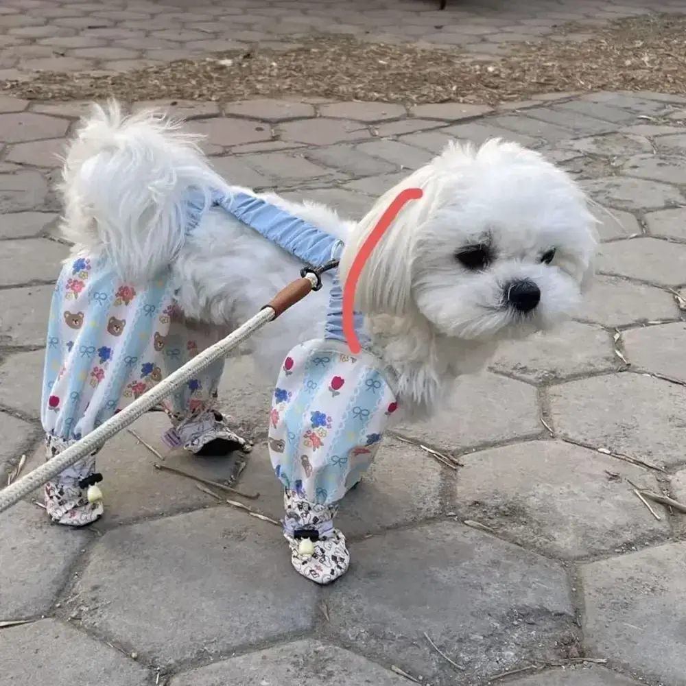 Polyester Pet Strolling Going Out Pants Breathable With Shoes Dog Jumpsuit Thin Dust-proof Dog Four Legged Pants Summer