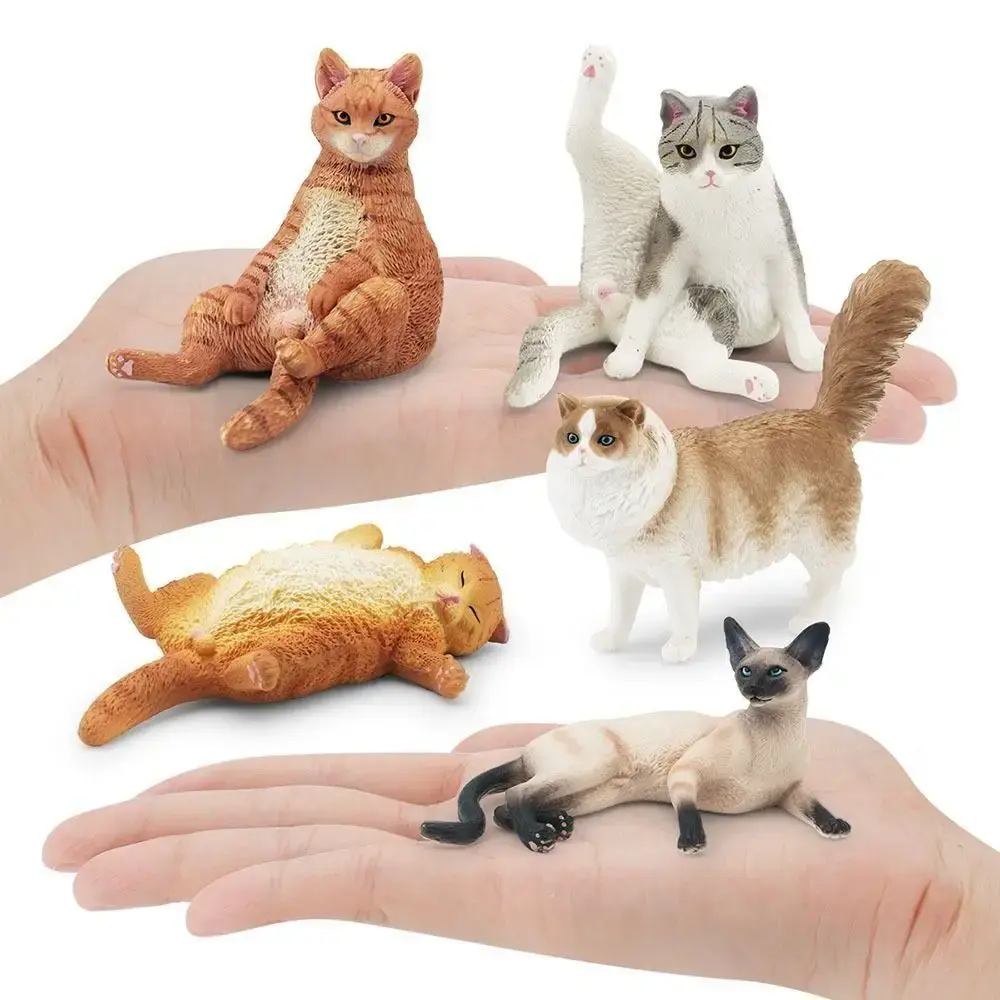 Simulation Cat Model Realistic Pet Figurines Siamese Ragdoll Persian Cat Mini Figures Action Figures Ornament Desktop Decor Toy