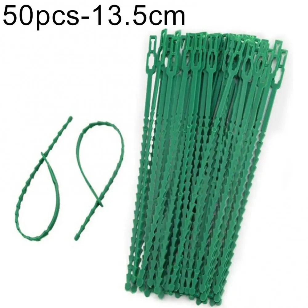 Garden Tool Plastic Reusable 50Pcs Landscape Fishbone Spur Plant Belt Band Ties Garden Tools
