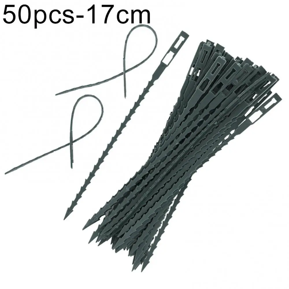 Garden Tool Plastic Reusable 50Pcs Landscape Fishbone Spur Plant Belt Band Ties Garden Tools