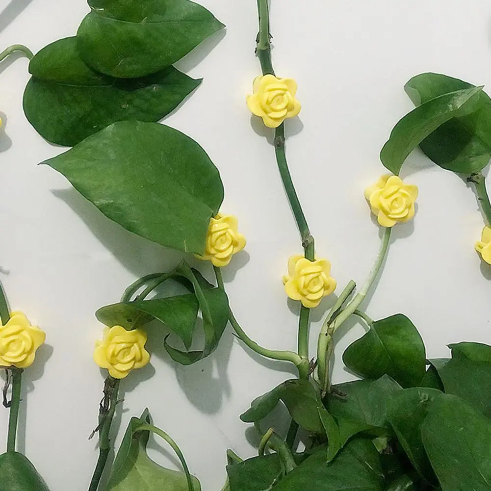 Plant Wall Fixture Clip Self-adhesive Rose Plant Climbing Wall Fixture Clip Set 20pcs Vine Fixing Hooks for Wall for Climbing