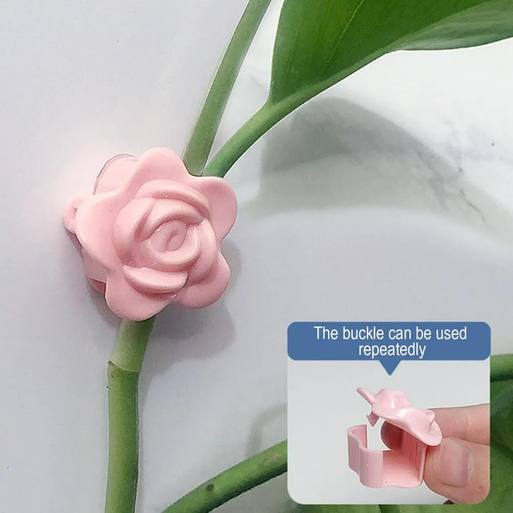 Plant Wall Fixture Clip Self-adhesive Rose Plant Climbing Wall Fixture Clip Set 20pcs Vine Fixing Hooks for Wall for Climbing