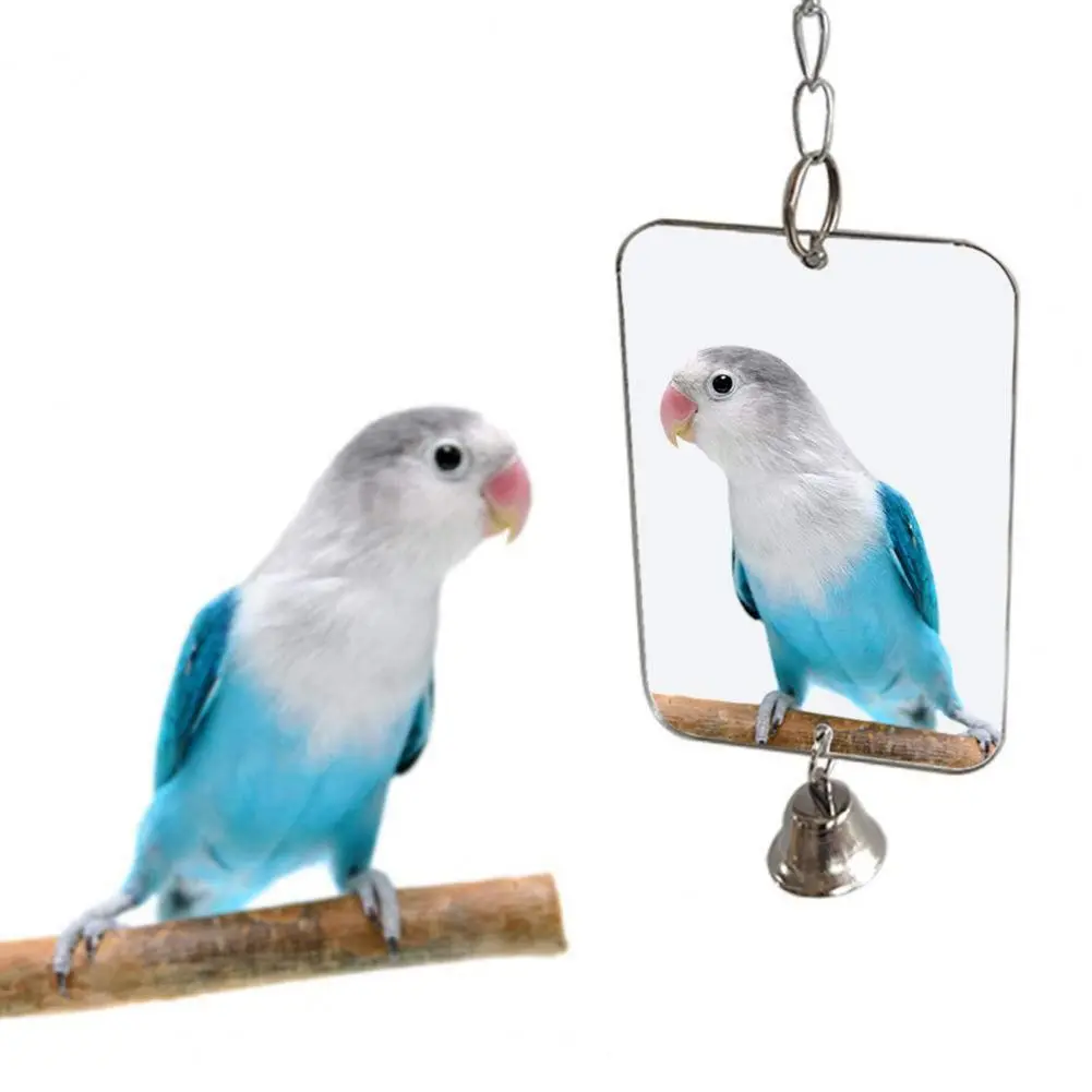 Pet Mirror Decoration Bell Portable Acrylic Toy Mirror for Pet Play Cage for Pet