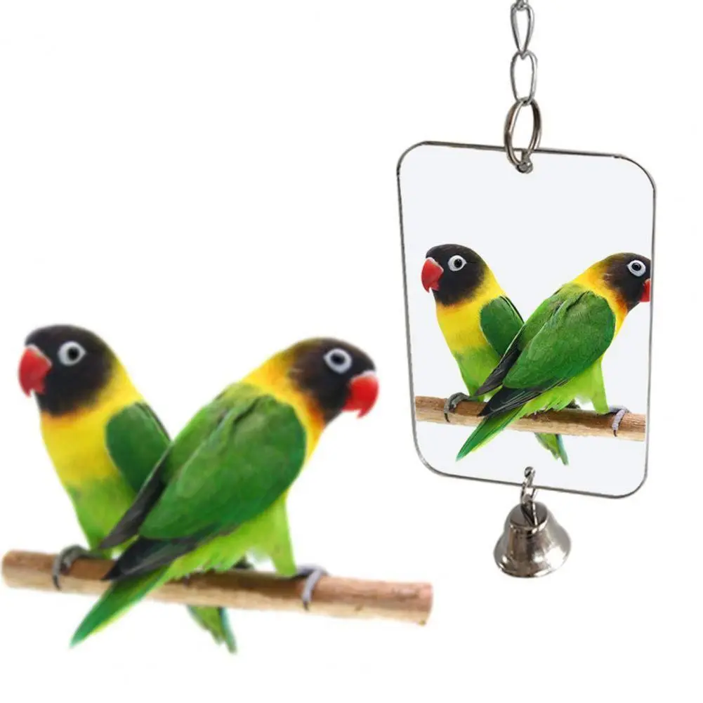 Pet Mirror Decoration Bell Portable Acrylic Toy Mirror for Pet Play Cage for Pet