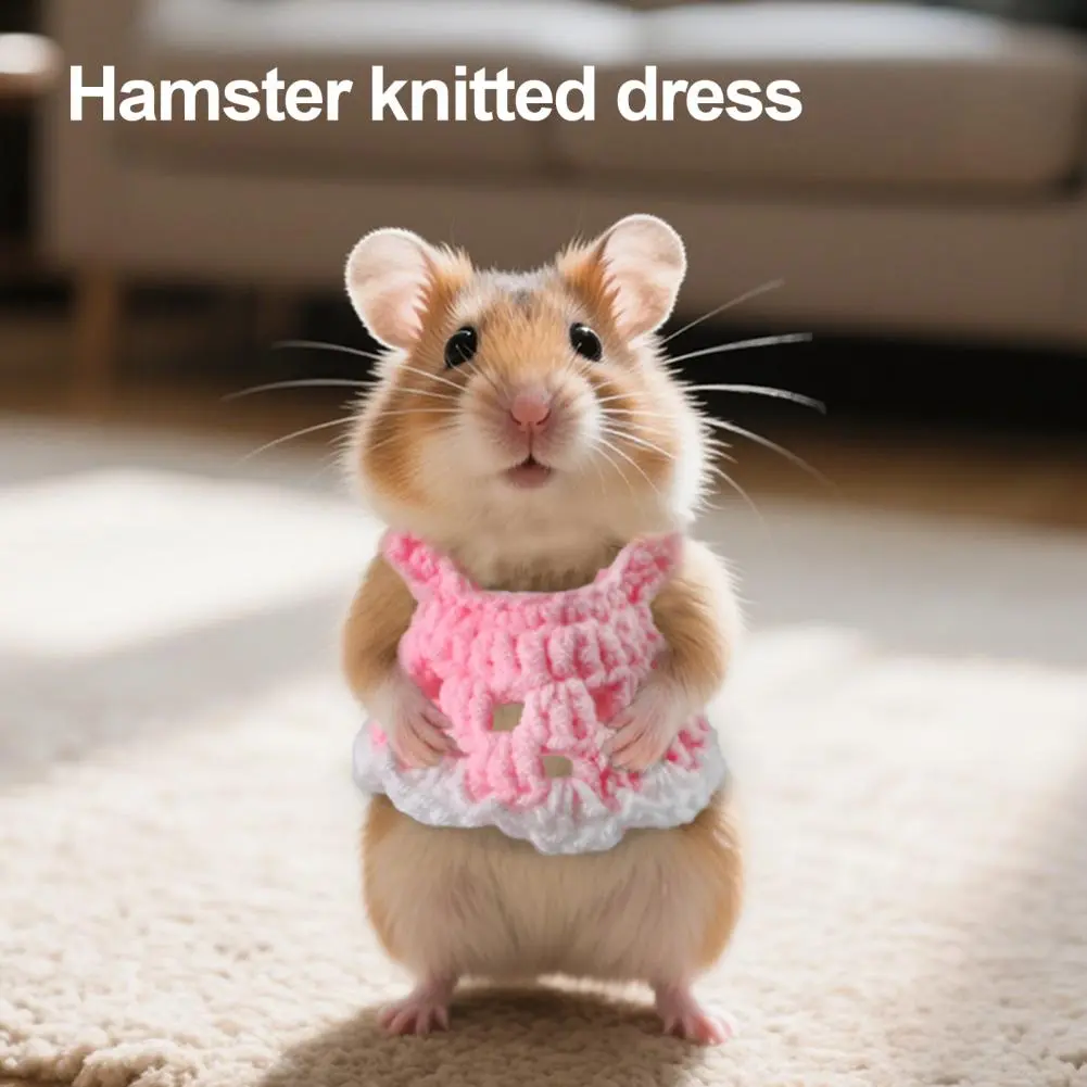 Mini Pet Costume Handmade Mini Knitted Pet Dress for Small Princess Skirt Bow Coat Set for Ferrets Hamsters Guinea for Hamster