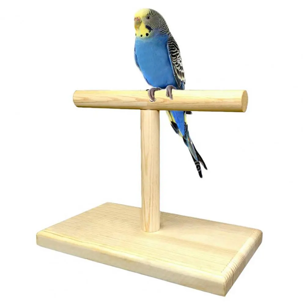 Bird Training Perch Eco-friendly Bird Training Exercise Stand Polished Compact Parrot Rack for Parakeets Parrots Lovebirds