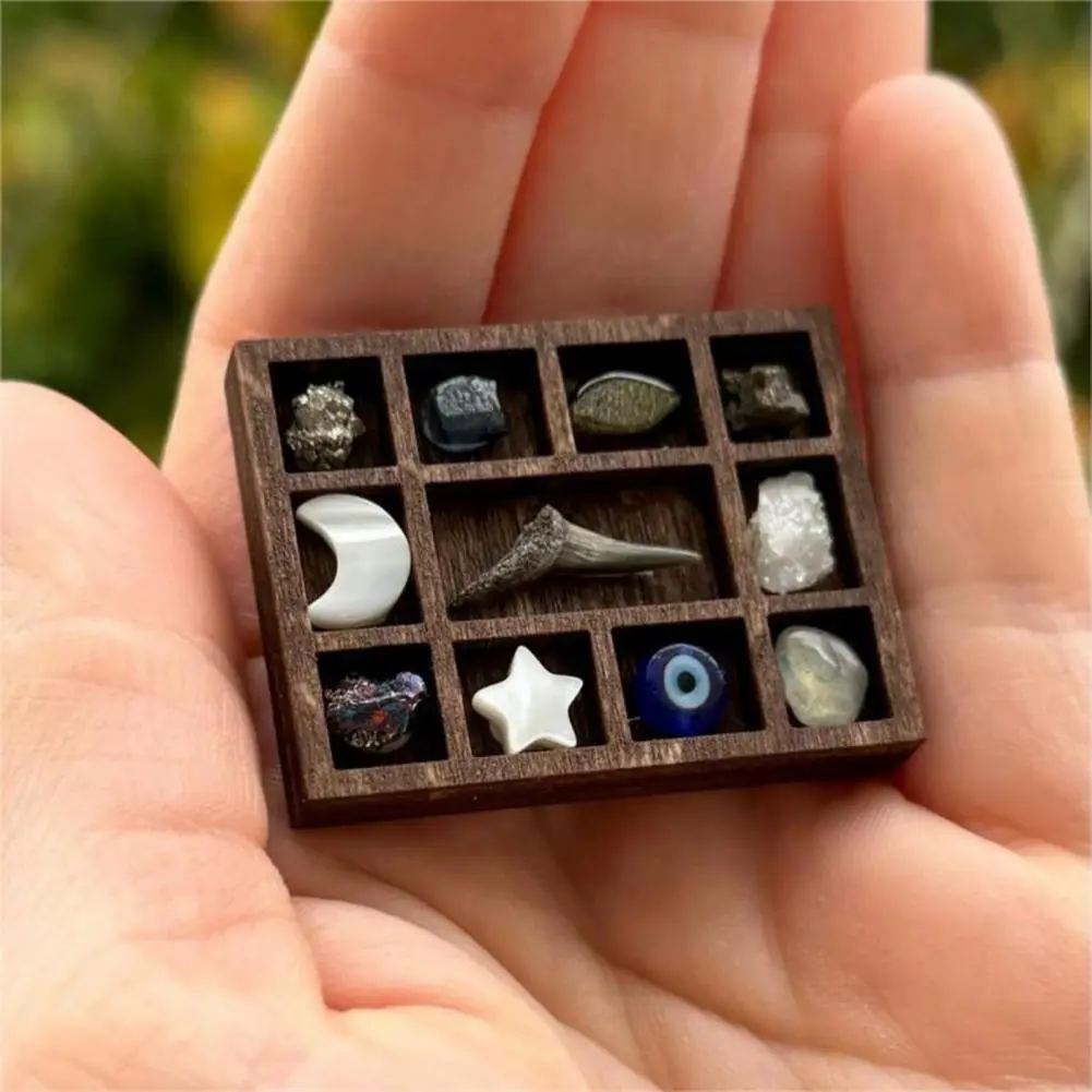 Shell Display Rack Miniature Trinket Shelf for Gems Shells Mini Collectibles Display Organizer for Mini Figures Storage Shelf