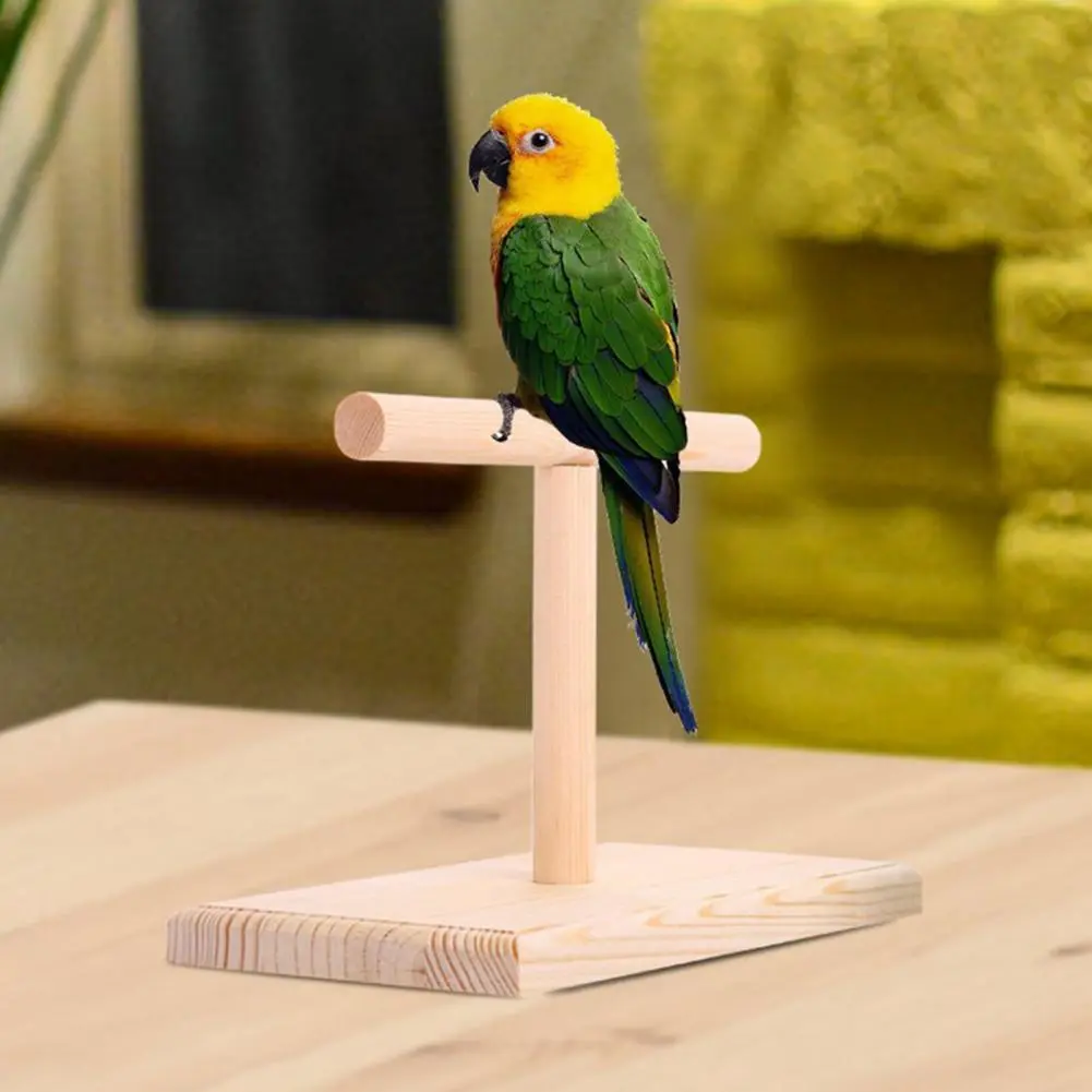Bird Training Perch Eco-friendly Bird Training Exercise Stand Polished Compact Parrot Rack for Parakeets Parrots Lovebirds