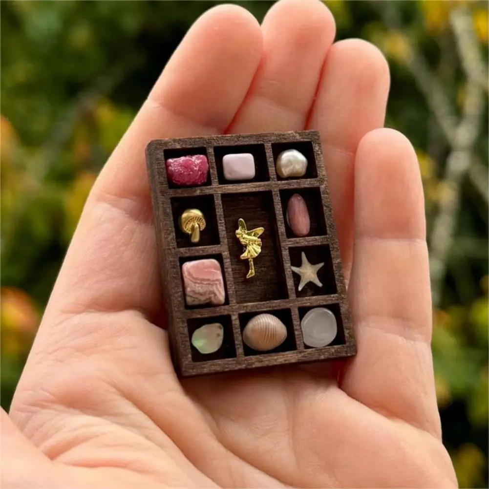 Shell Display Rack Miniature Trinket Shelf for Gems Shells Mini Collectibles Display Organizer for Mini Figures Storage Shelf