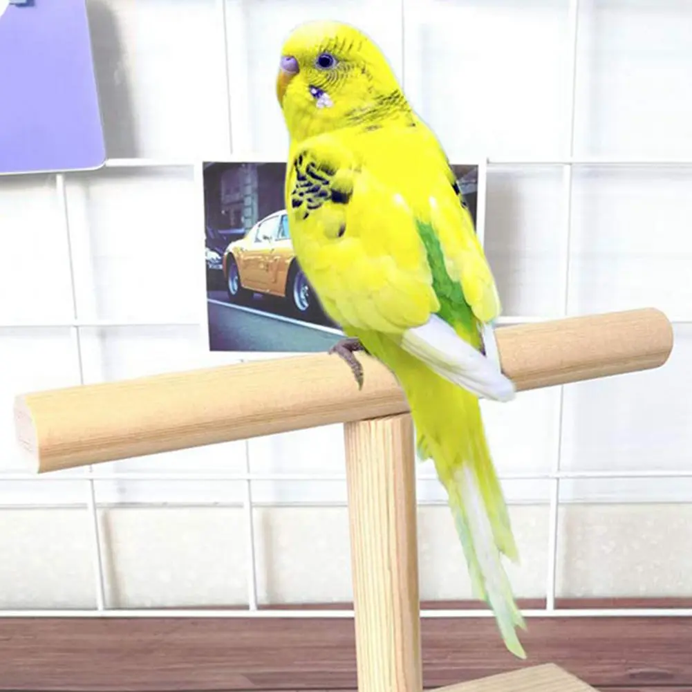 Bird Training Perch Eco-friendly Bird Training Exercise Stand Polished Compact Parrot Rack for Parakeets Parrots Lovebirds