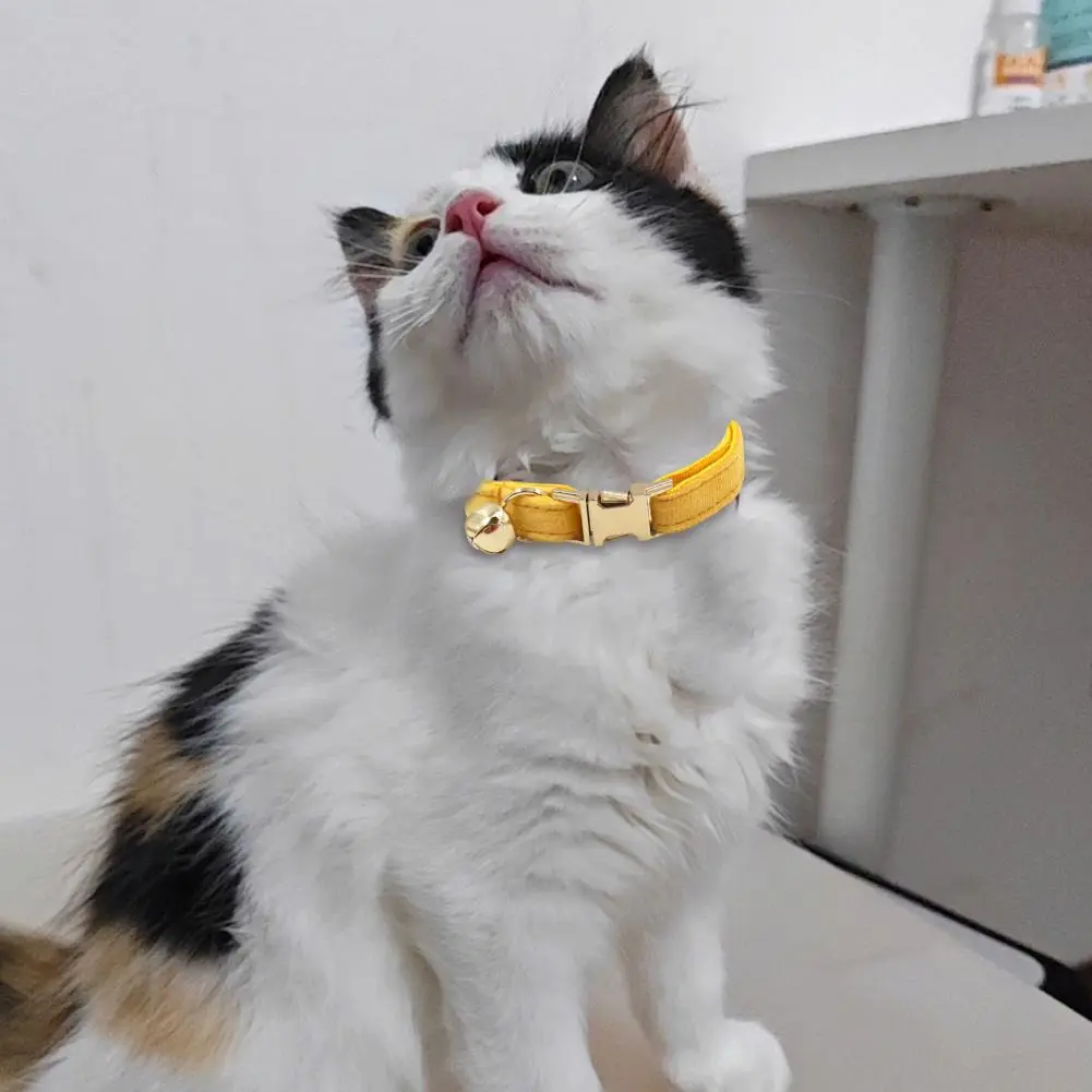 Velvet Cat Collar Personalized ID Tag Kitten Collars Necklace Bell Bow tie Custom Small Collar
