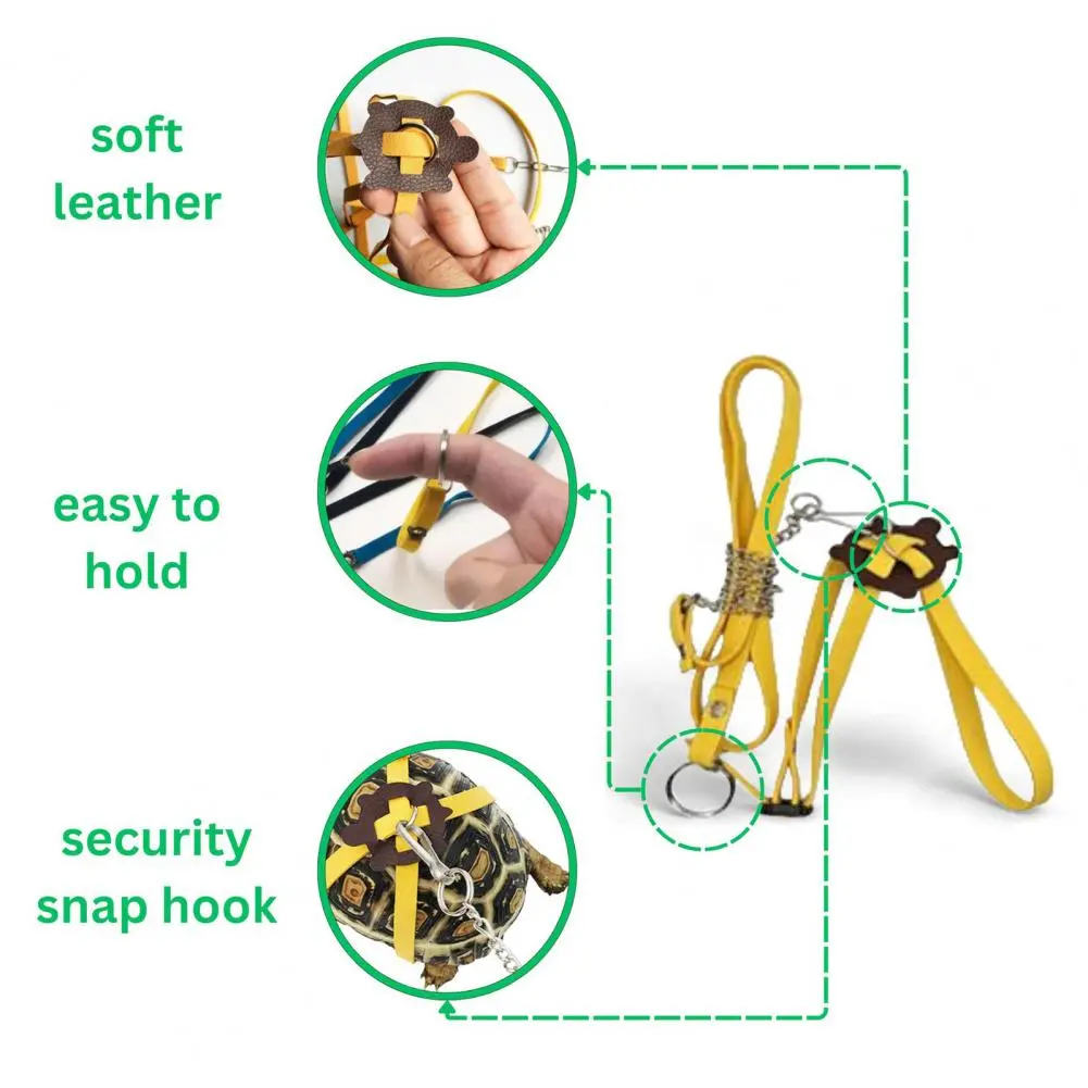 Tortoise Leash Pet Tortoise Training Set Adjustable Leash Harness Mini Skateboard for Lizard Dragon Outdoor for Small