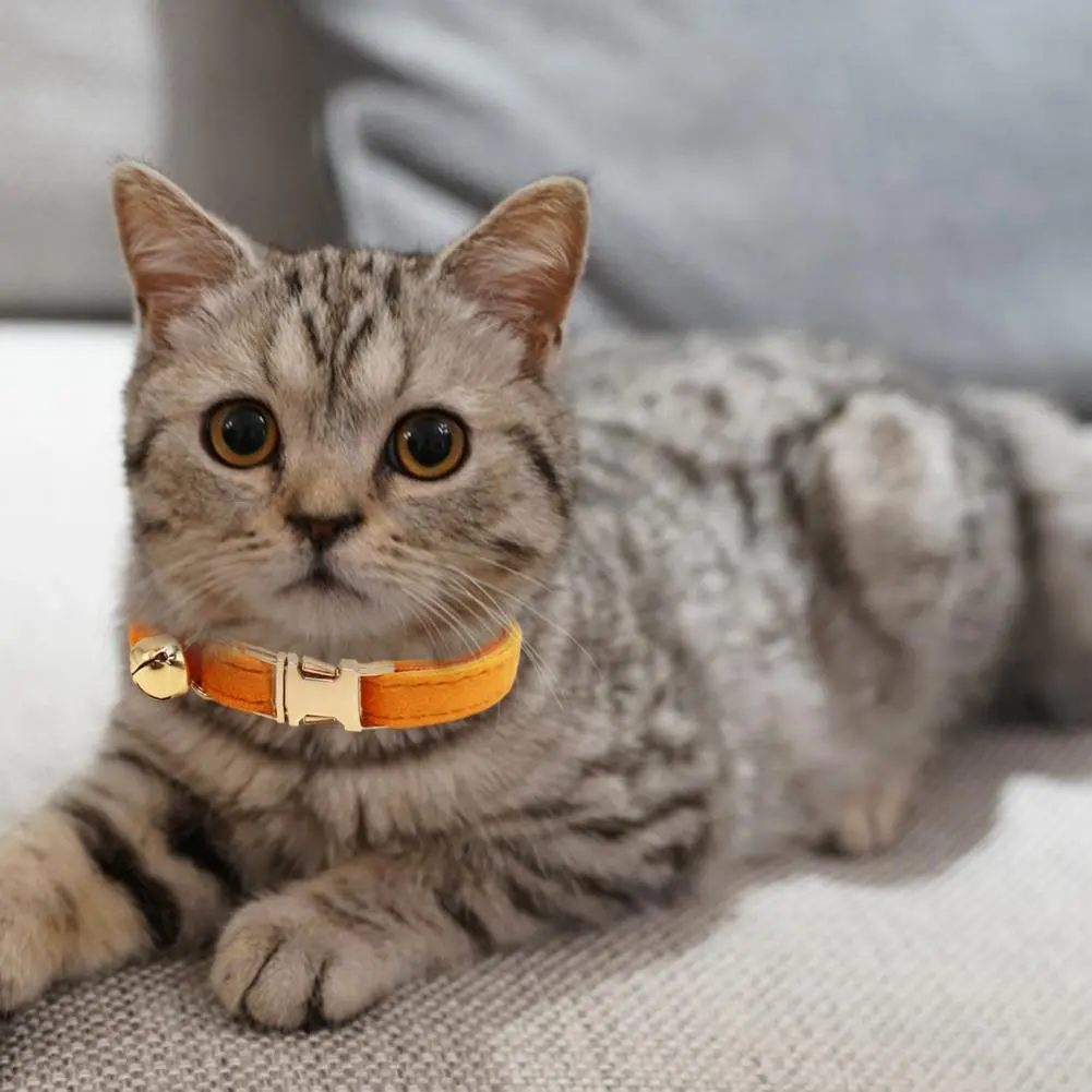 Velvet Cat Collar Personalized ID Tag Kitten Collars Necklace Bell Bow tie Custom Small Collar