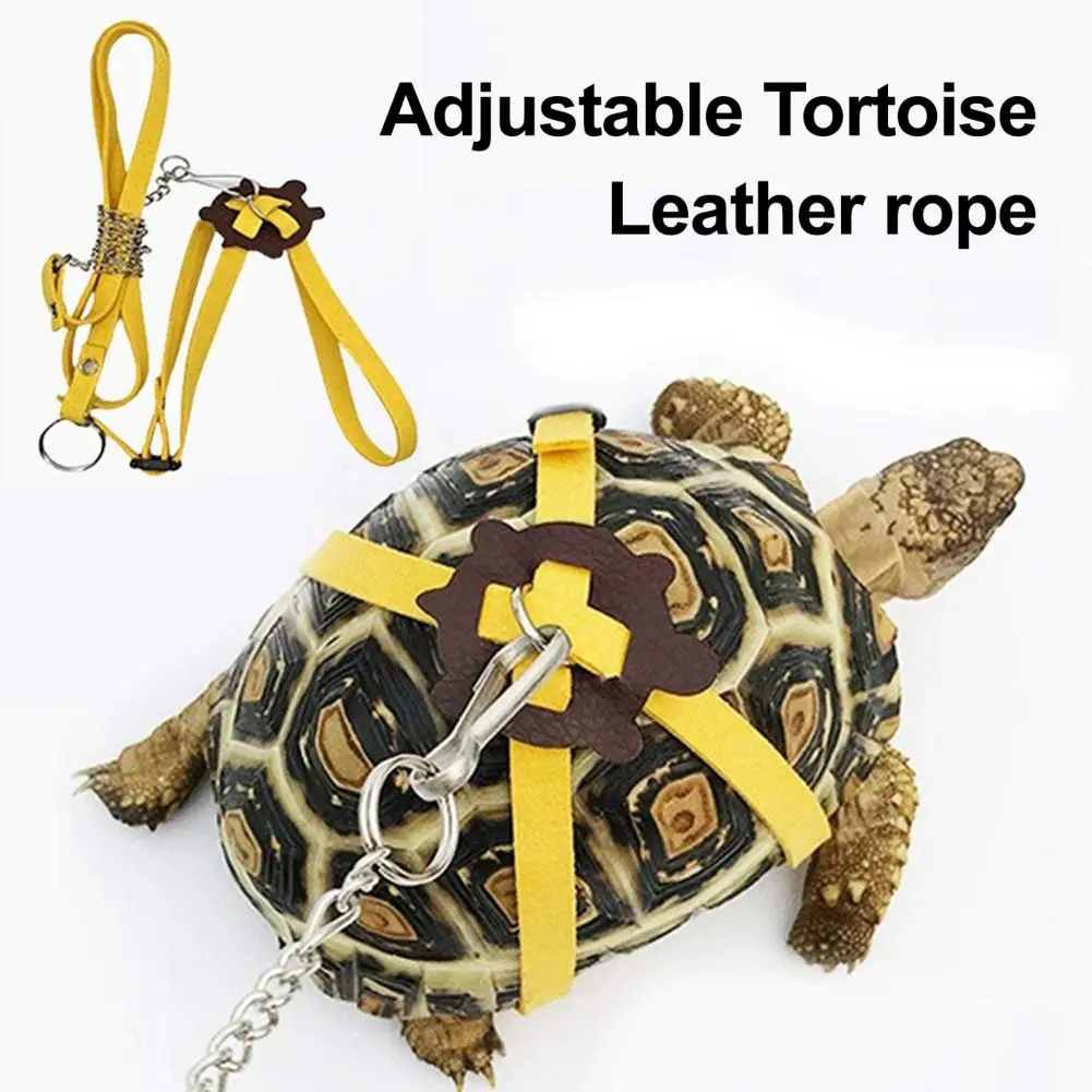 Tortoise Leash Pet Tortoise Training Set Adjustable Leash Harness Mini Skateboard for Lizard Dragon Outdoor for Small
