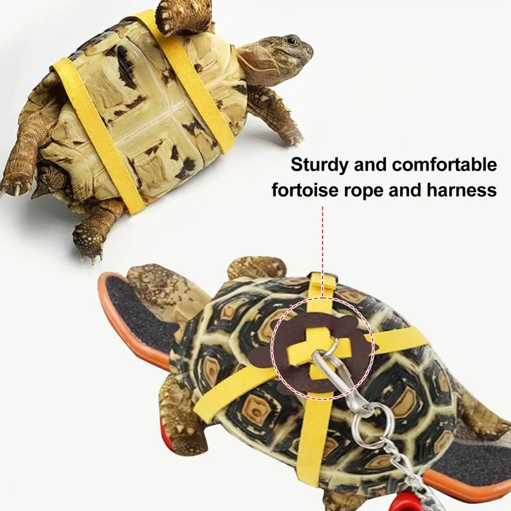 Tortoise Leash Pet Tortoise Training Set Adjustable Leash Harness Mini Skateboard for Lizard Dragon Outdoor for Small