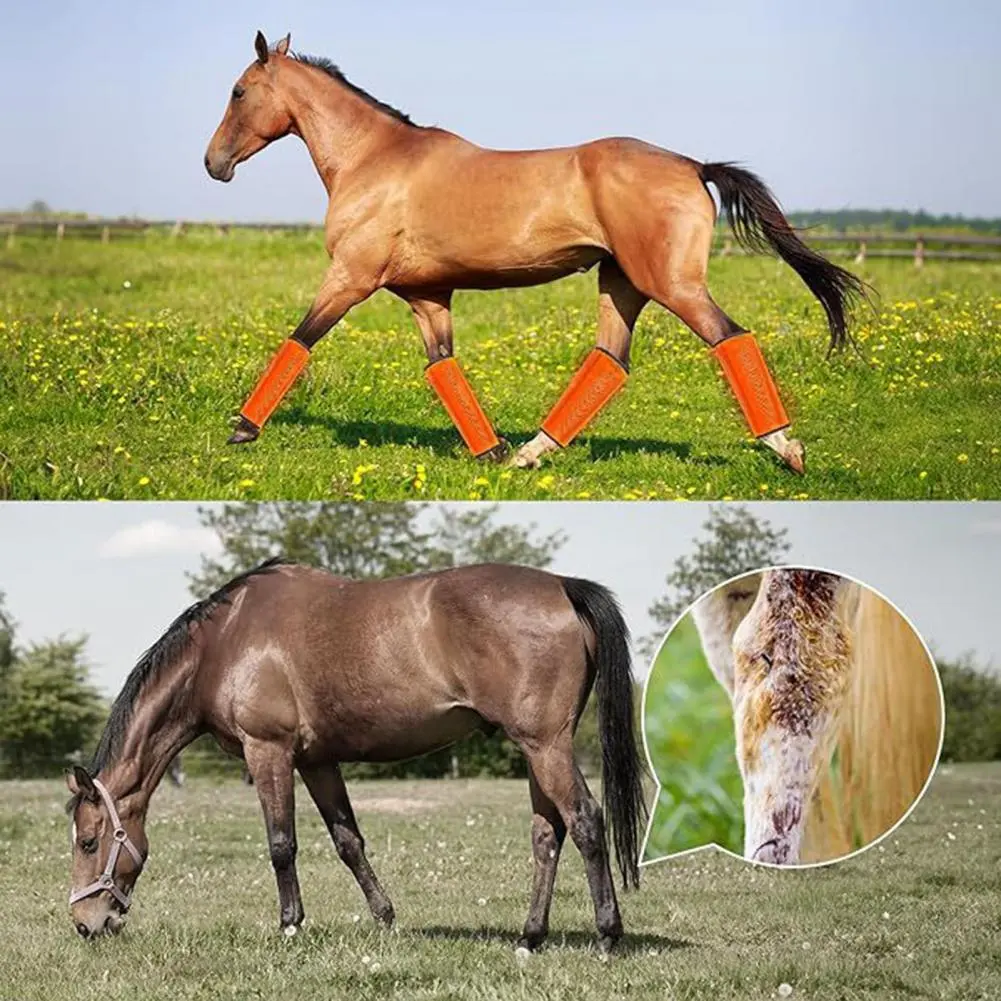 Durable Horse Fly Boots Breathable Mesh Horse Fly Boots Set Equine Leggings for Reducing Stomping Fatigue Comfortable for Hoof