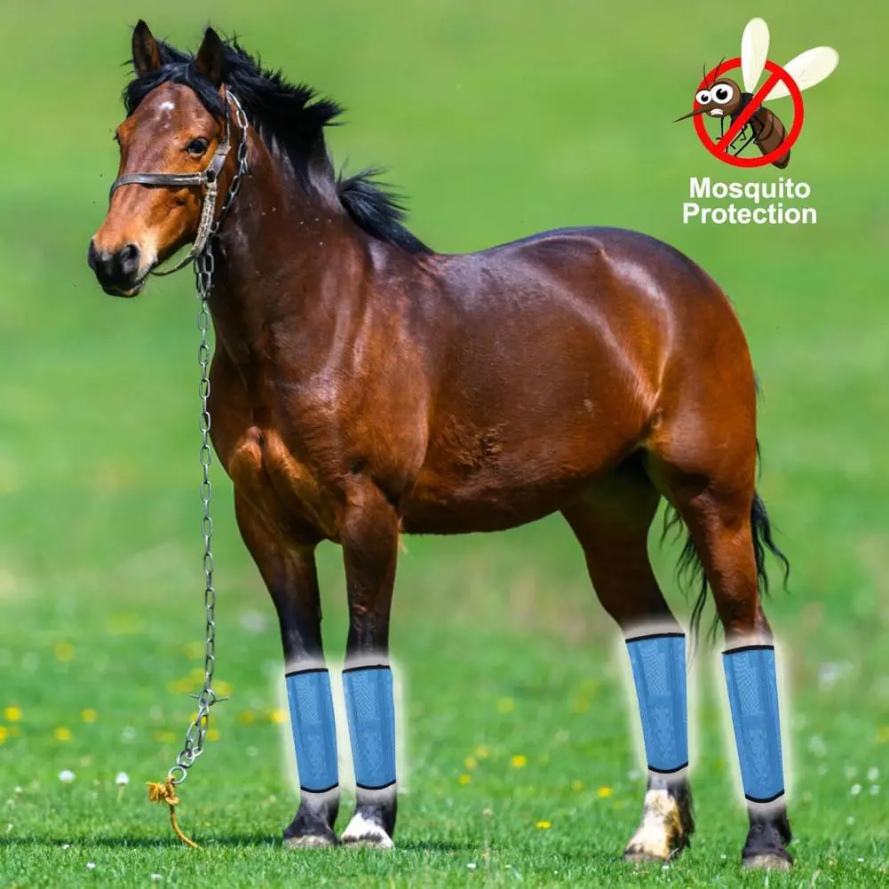 Durable Horse Fly Boots Breathable Mesh Horse Fly Boots Set Equine Leggings for Reducing Stomping Fatigue Comfortable for Hoof