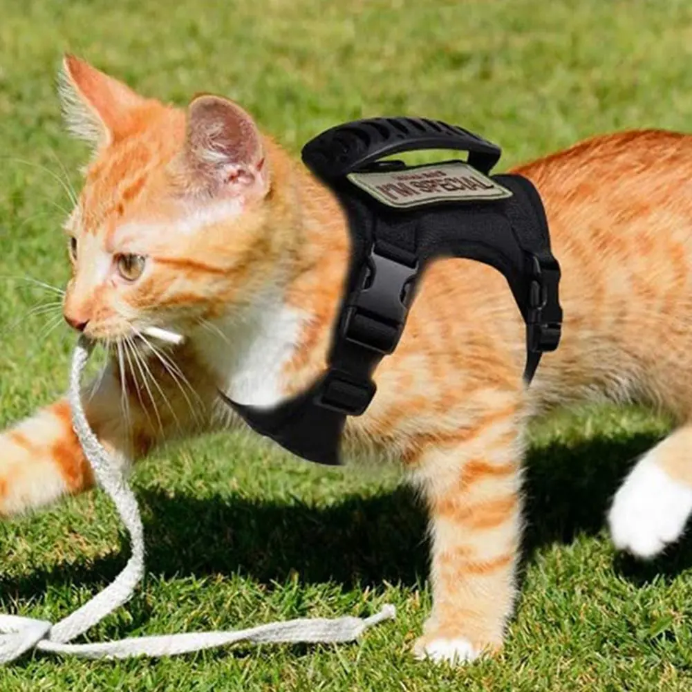 Comfortable Pet Harness Adjustable Escape Proof Cat Harness with Breathable Vest Waterproof for Walking for Small for Outdoor