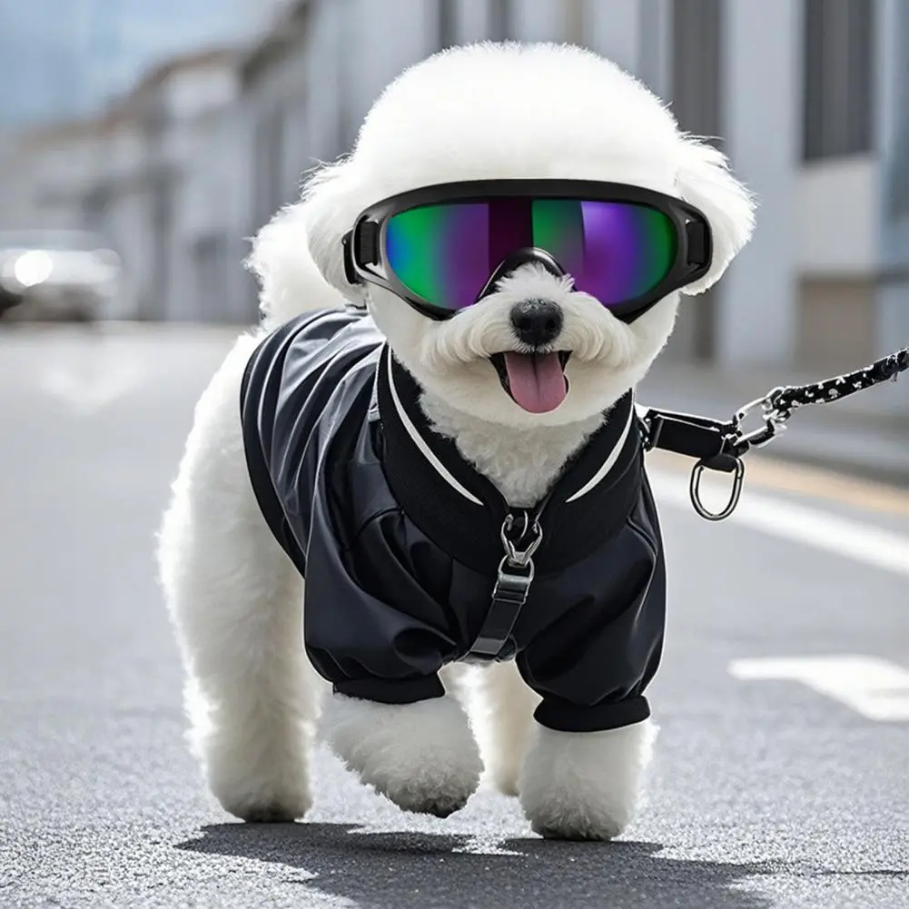 Goggles for Dogs to Protect Eyes Pet Sunglasses for Travel Skiing Wind Dust Fog Proof Eye Wear with Uv Protection Adjustable