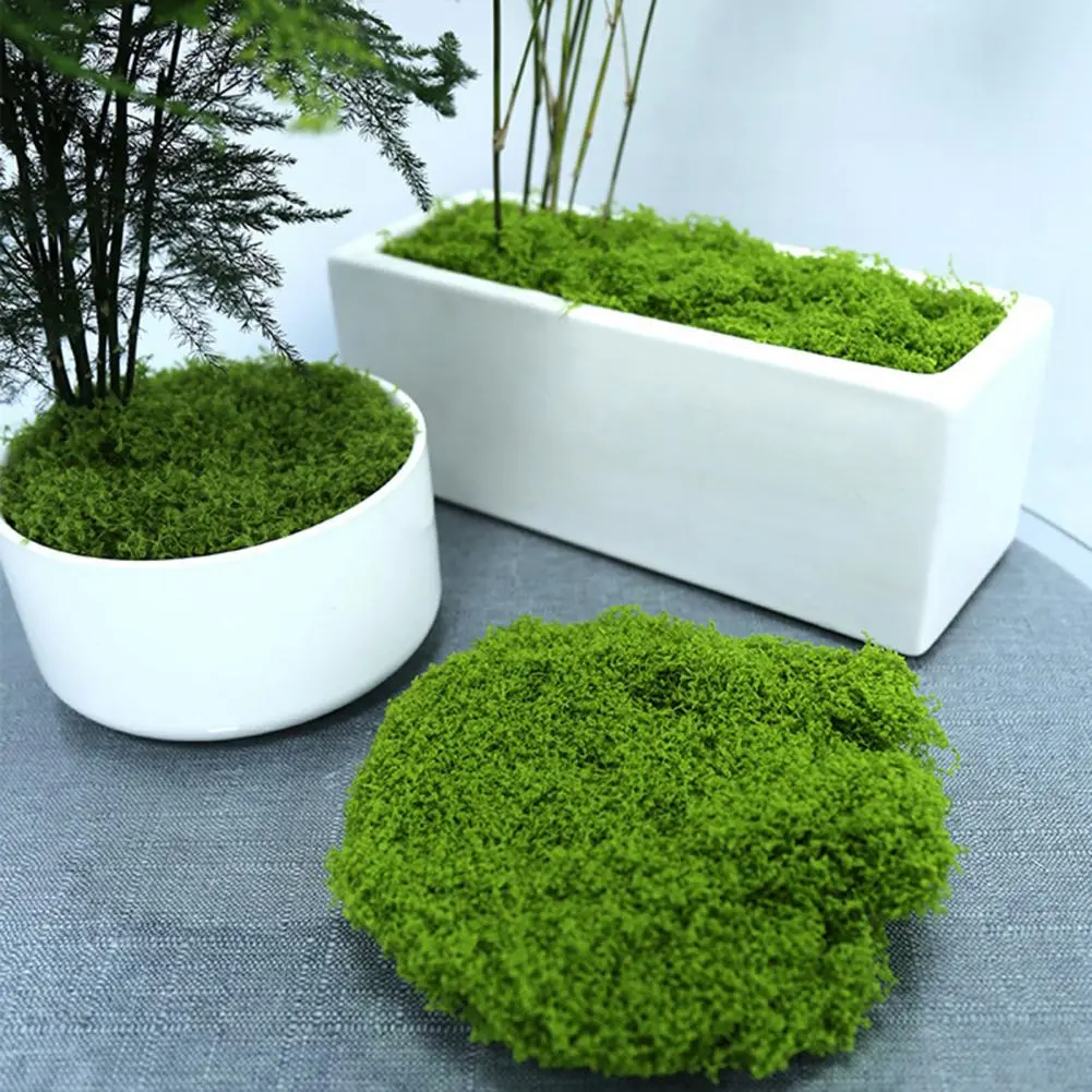 Realistic Artificial Moss Artificial Moss Decorations for Home Garden Faux Moss Ground Cover Green Plants Diy for Bonsai for Diy