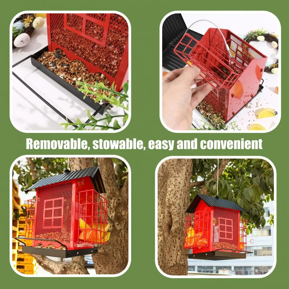 Attract A Variety of S with This Feeder Metal Hanging Feeder with Double Suet Cage for Outdoors Capacity for Cardinals