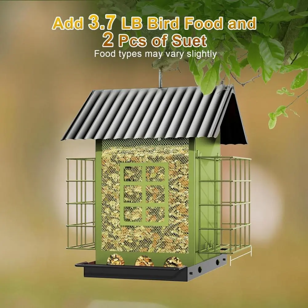 Attract A Variety of S with This Feeder Metal Hanging Feeder with Double Suet Cage for Outdoors Capacity for Cardinals