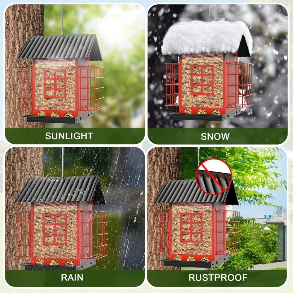 Attract A Variety of S with This Feeder Metal Hanging Feeder with Double Suet Cage for Outdoors Capacity for Cardinals
