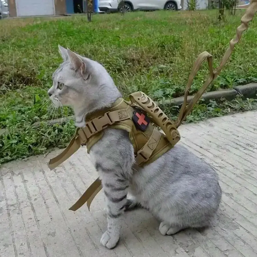 324