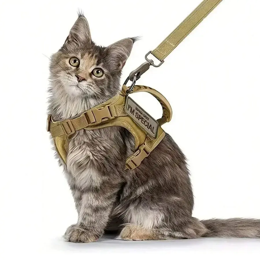 Cats Accessories Pets Pet Products Collar Goods Kitten Kittens Breast-band Collar Harness Leash Things Supplies For Cat Home