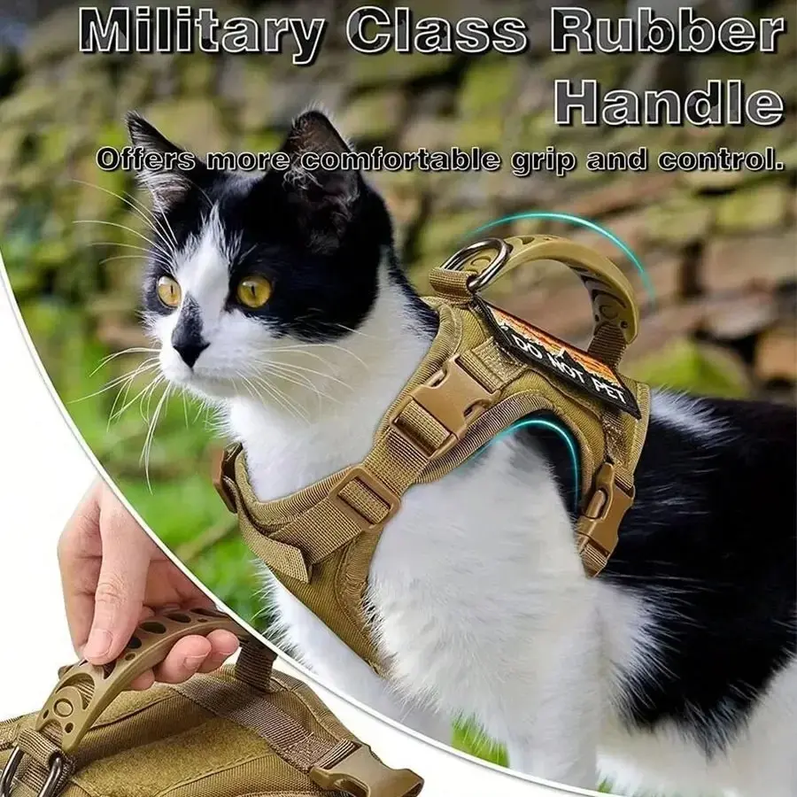 Cats Accessories Pets Pet Products Collar Goods Kitten Kittens Breast-band Collar Harness Leash Things Supplies For Cat Home