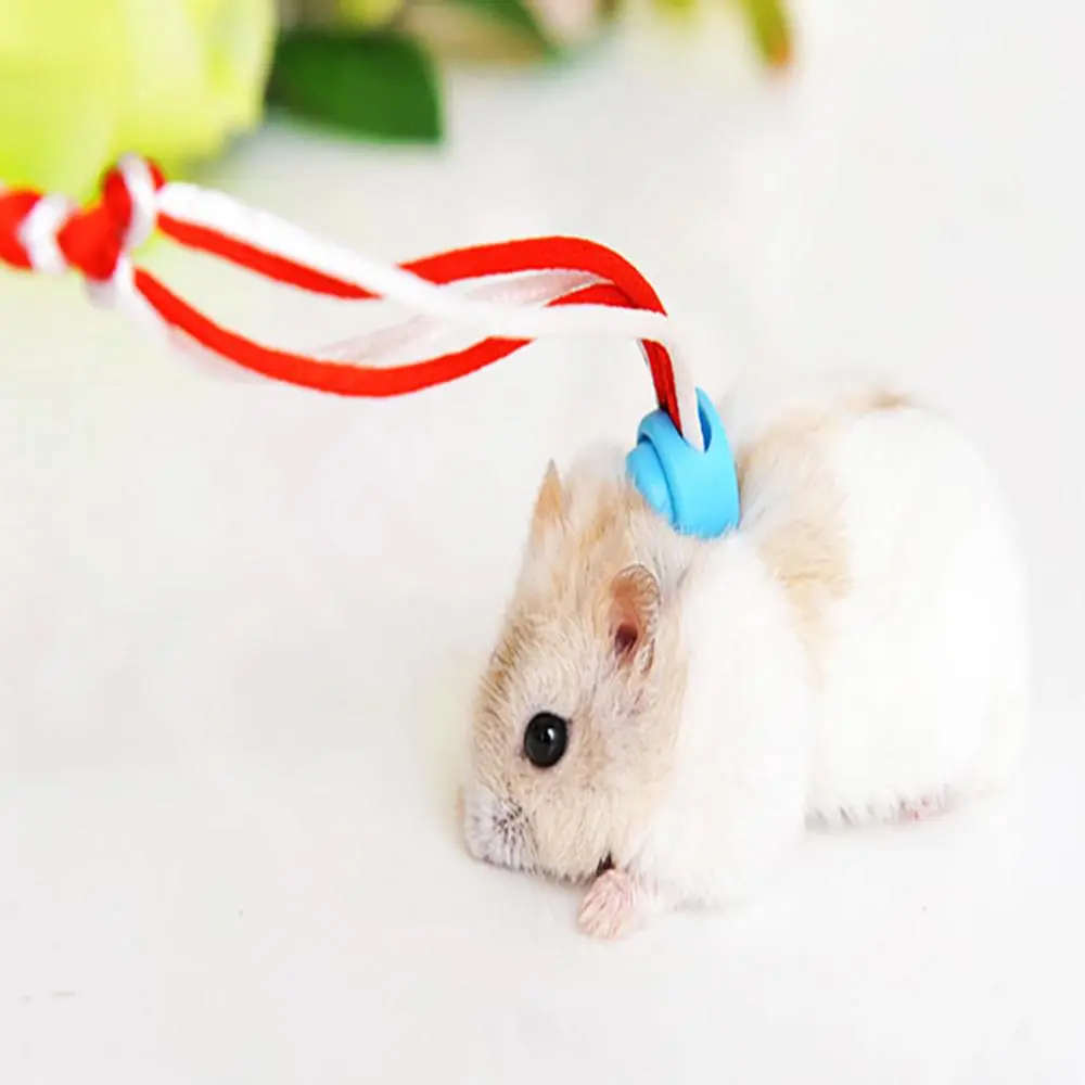 Pet Leash Traction Rope Leash Walking 1.4/2m Hamster Guinea Pig Cobaya Rabbits Ferret Chinchillas Small Collar Leash