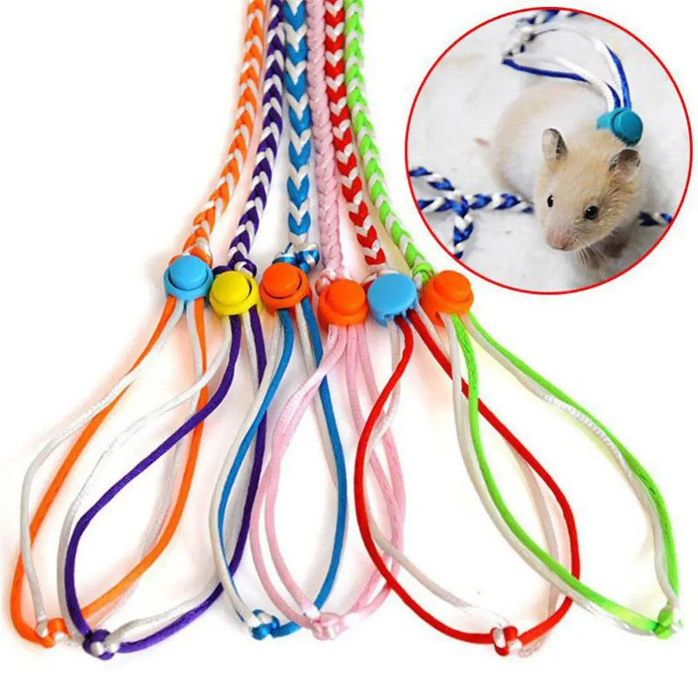 Pet Leash Traction Rope Leash Walking 1.4/2m Hamster Guinea Pig Cobaya Rabbits Ferret Chinchillas Small Collar Leash