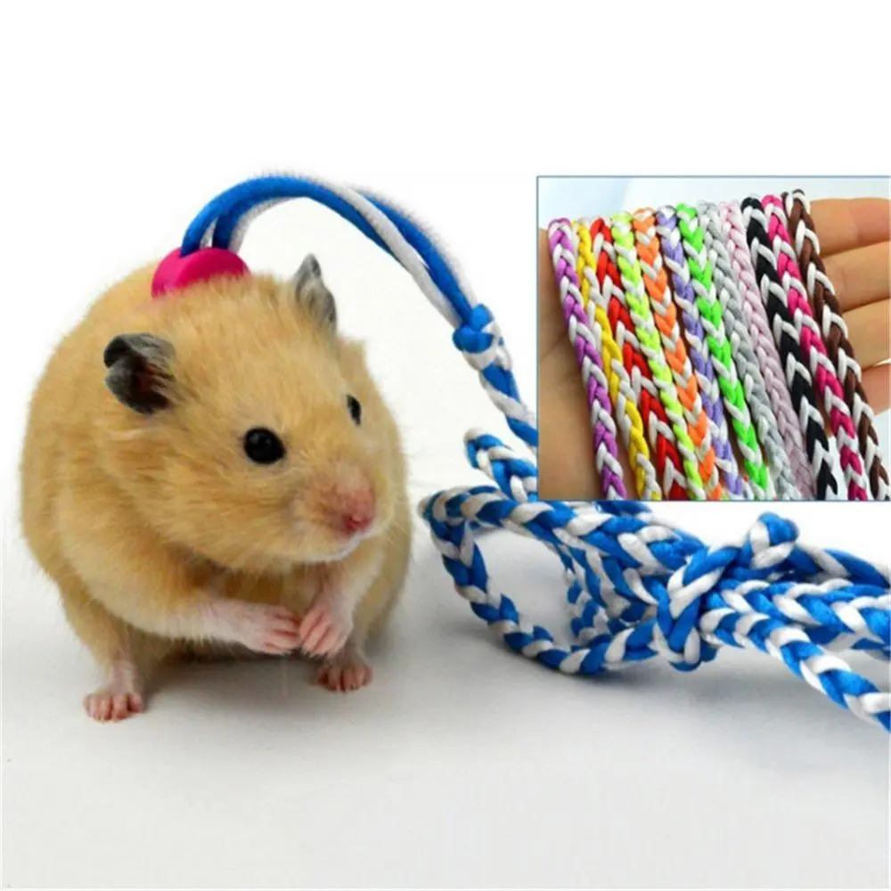 Pet Leash Traction Rope Leash Walking 1.4/2m Hamster Guinea Pig Cobaya Rabbits Ferret Chinchillas Small Collar Leash