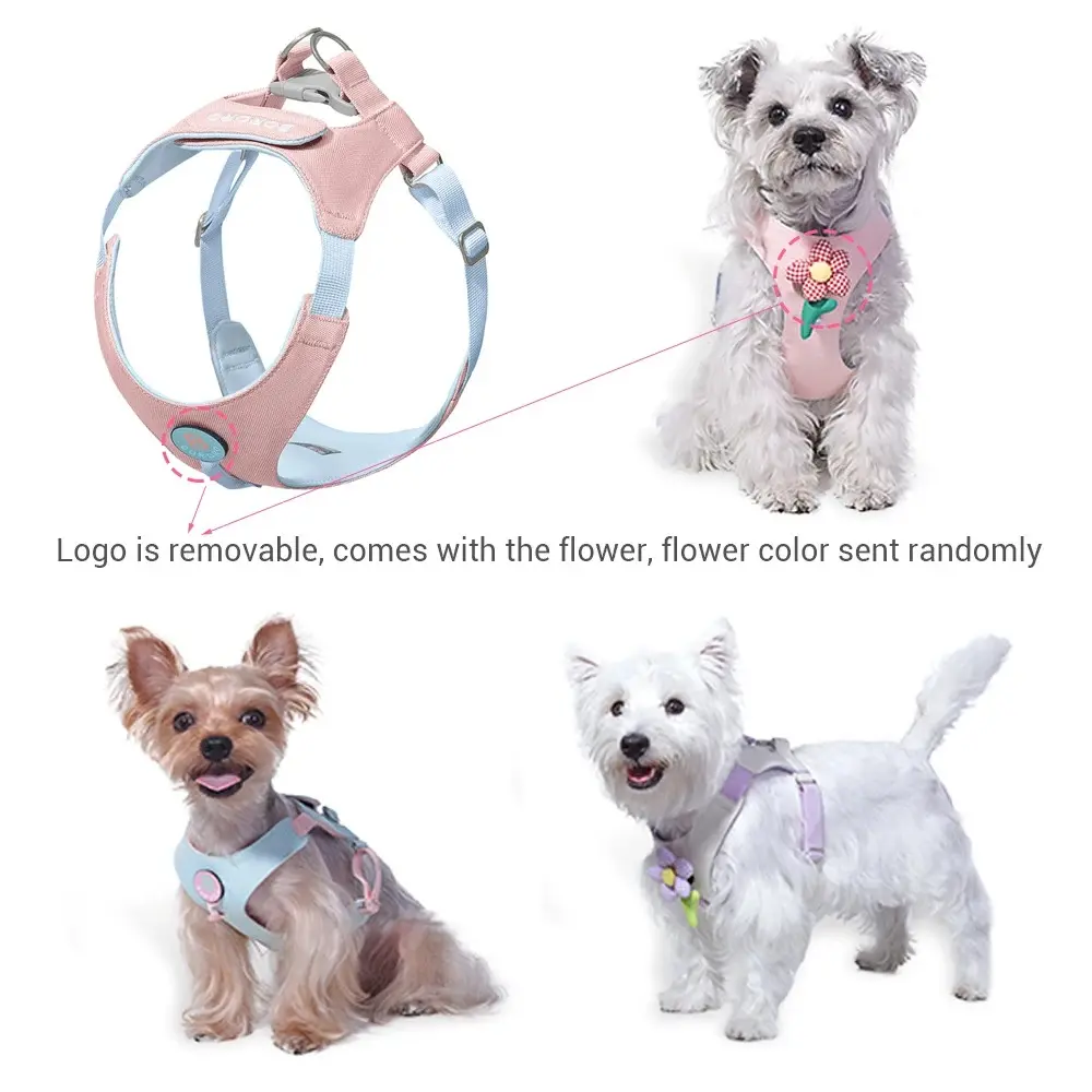 Puppy Harness Harnesses and Wears Necklaces Dog No Pull Training Collar Pet Small Dogs Accessories Big Leash Set Anti Flea Tick