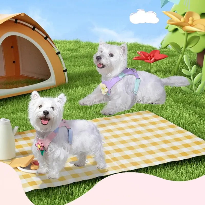 Puppy Harness Harnesses and Wears Necklaces Dog No Pull Training Collar Pet Small Dogs Accessories Big Leash Set Anti Flea Tick