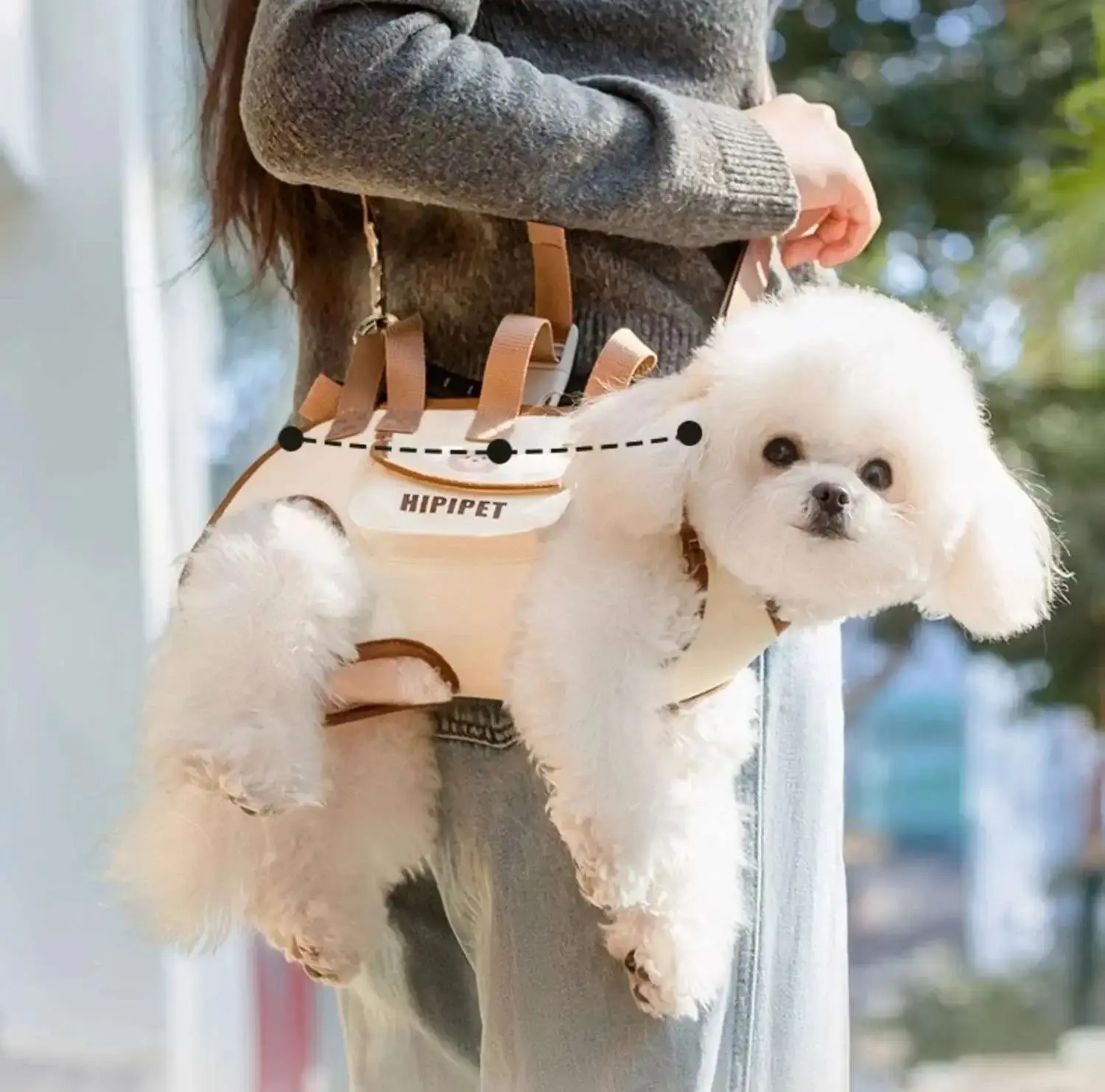 Basket for Dog Pets Dogs Pet Backpack Carriers Cats Bags Bag Accessories Transport Carrying Things Supplies Products Home Garden