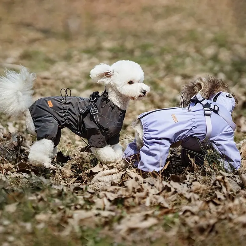 Pet Clothing Dog Accessories Luxury Clothes Sweatshirt for Dogs Supplies Big Costume Cute Hoodie Fancy Dress Goods Small Coat