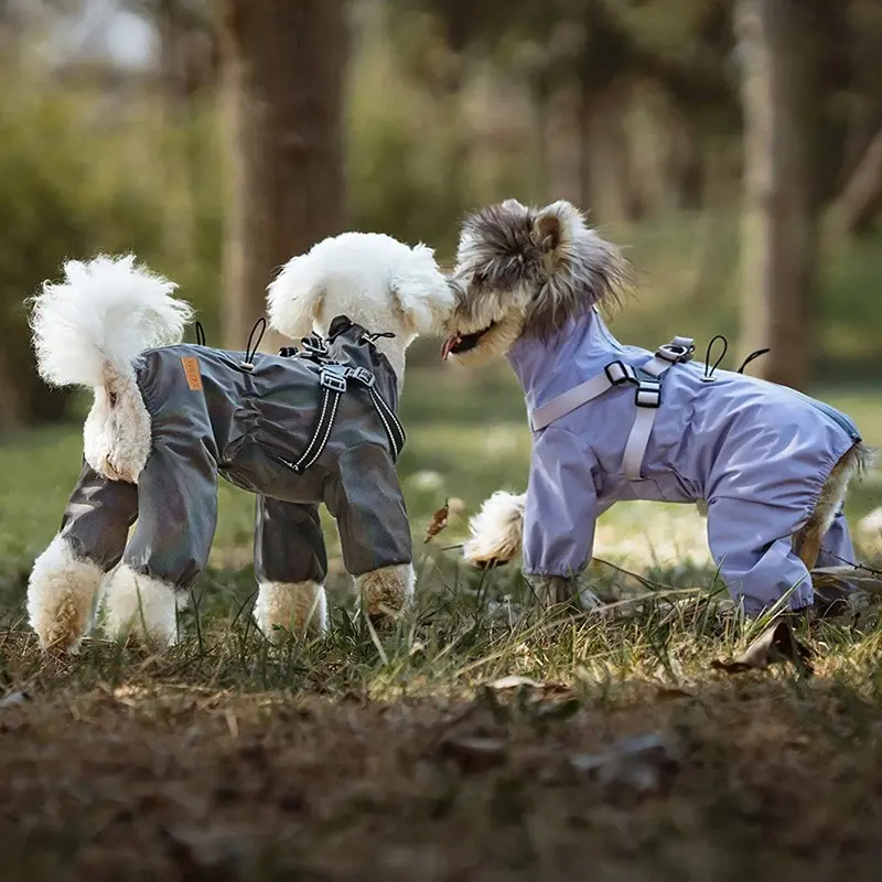 Pet Clothing Dog Accessories Luxury Clothes Sweatshirt for Dogs Supplies Big Costume Cute Hoodie Fancy Dress Goods Small Coat