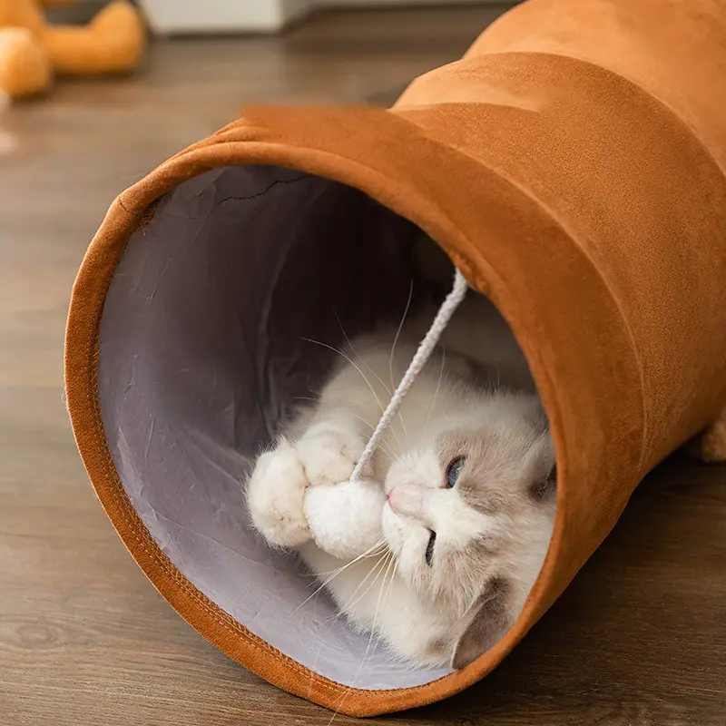 Accessories for Cats Bed Pet Products Houses and Habitats Kitten All Dog Mat House Beds Goods Cushions Supplies Things Puppy Cat