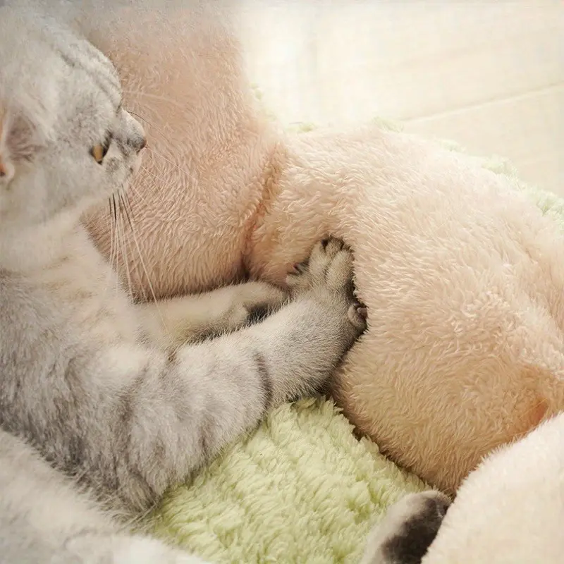 Cats Bed Plush Houses Warm Beds Winter Dog Mat Habitats All Pet Supplies House Accessories Basket Puppy Products Kitten Goods