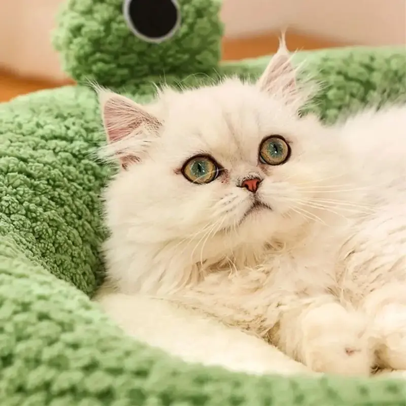 Beds Cats Warm Bed Fluffy Cushions for Winter Houses Plush Goods Pet Supplies House Kitten Basket Puppy Accessories Habitats Dog